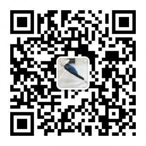 午夜福利区微信公众号