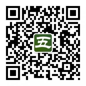 五月故事网微信公众号