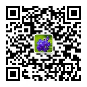 乱七八糟包罗万象