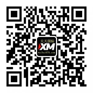 <b>天天国际XM</b>微信公众号