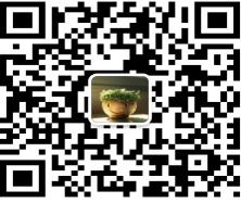 正能量特训营微信公众号