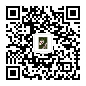 MALOO时尚编缘微信公众号