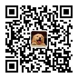 爱与狗的世界微信公众号