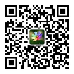 <b>热点风向标</b>微信公众号