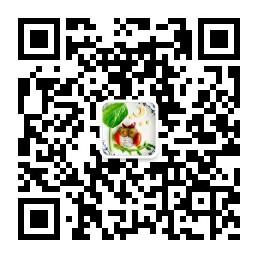 教你做儿童创意餐微信公众号