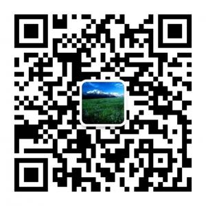 看电影的木匠微信公众号