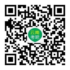 云南考吧-云南人事微信公众号